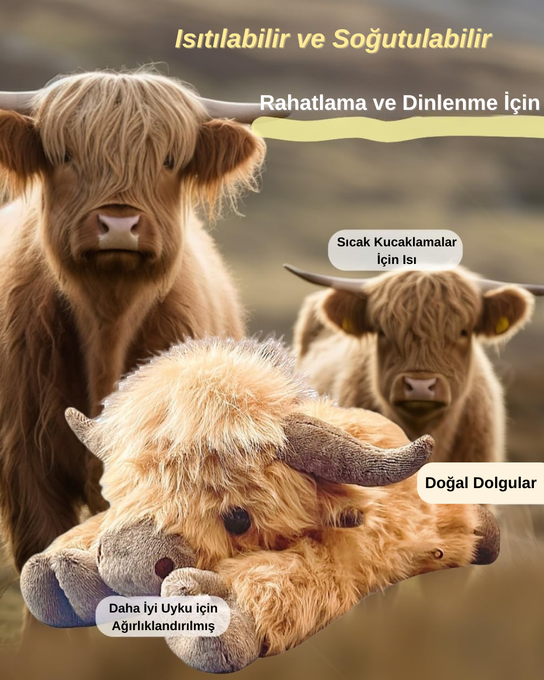 BULBAKTR İnek Peluş